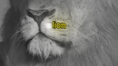 The struggle builds the strength #motivation #mindset #transformation