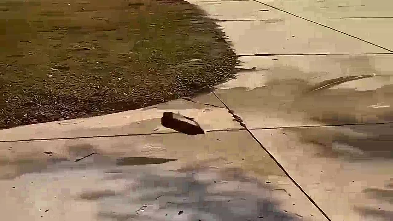 Madge's Ultimate Weight Loss