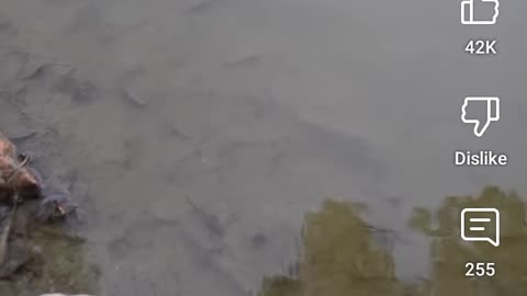 Scientific boat