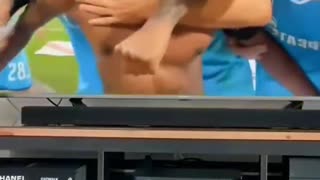 Funny animals