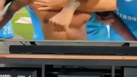 Funny animals