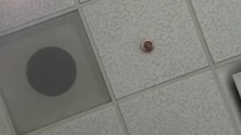 RAW VIDEO: TPUSA Fires Loyal Employee in Cold, Heartless Ambush