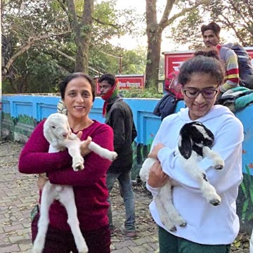 Safe Ayurveda for Furry Friends - Let them Live Long & Healthy