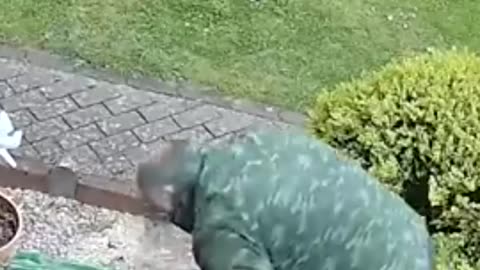 The Moment She Realizes the Haircut is a Disaster!