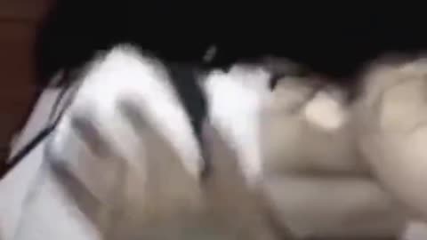 👻🤝 Ghost Caught on Camera Making a New Friend?! | TheHauntingHour