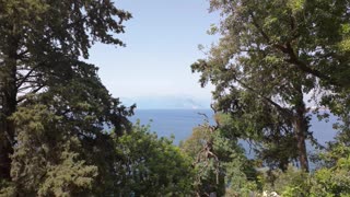 Excado Yolo Minimal Ambient Lofi