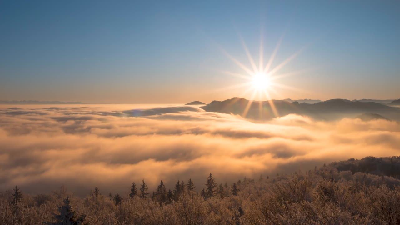 Fog, sun, sunshine