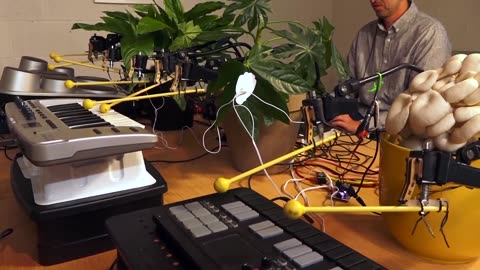 🤯✨ Mind-Blown! Fungi Play Instruments Via Electric Sensors! | FeedMyCuriosity