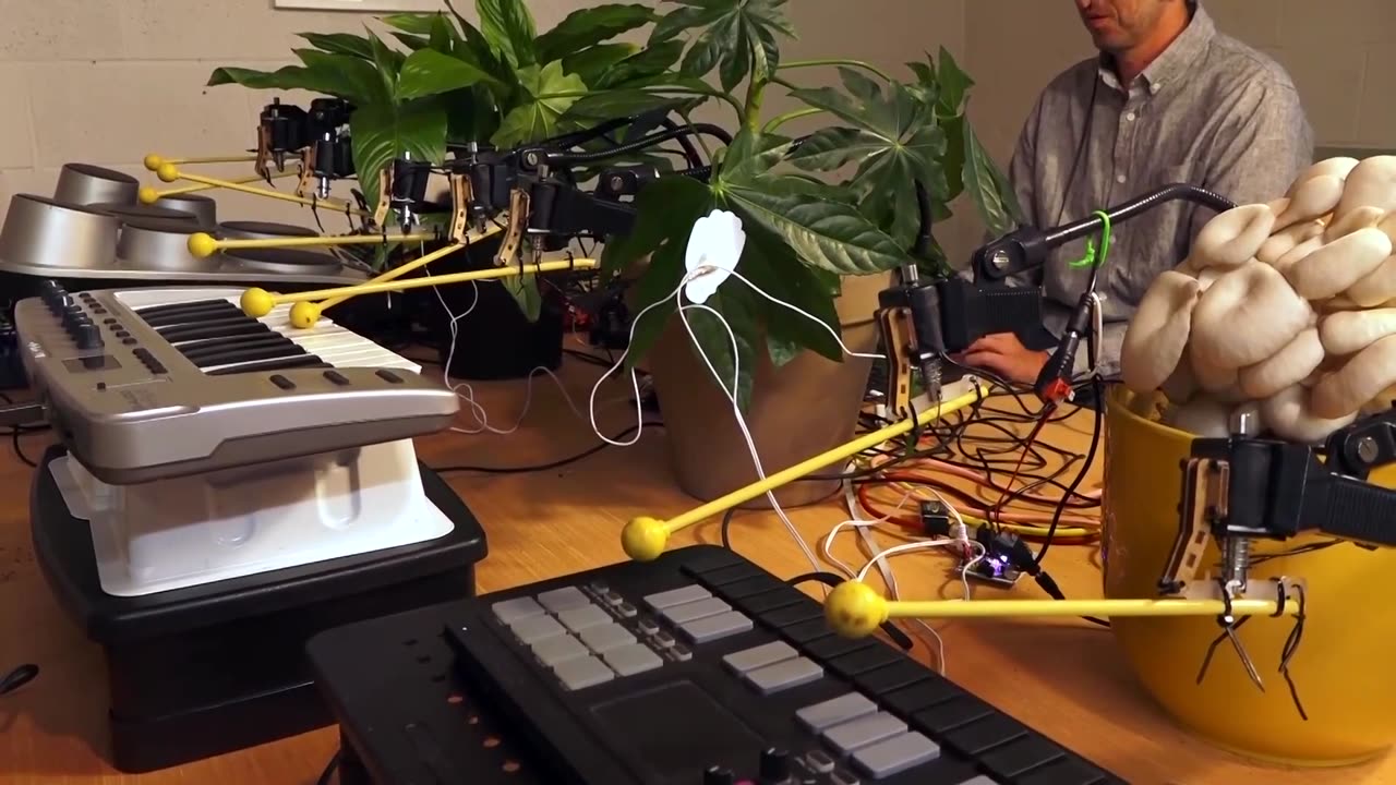 🤯✨ Mind-Blown! Fungi Play Instruments Via Electric Sensors! | FeedMyCuriosity