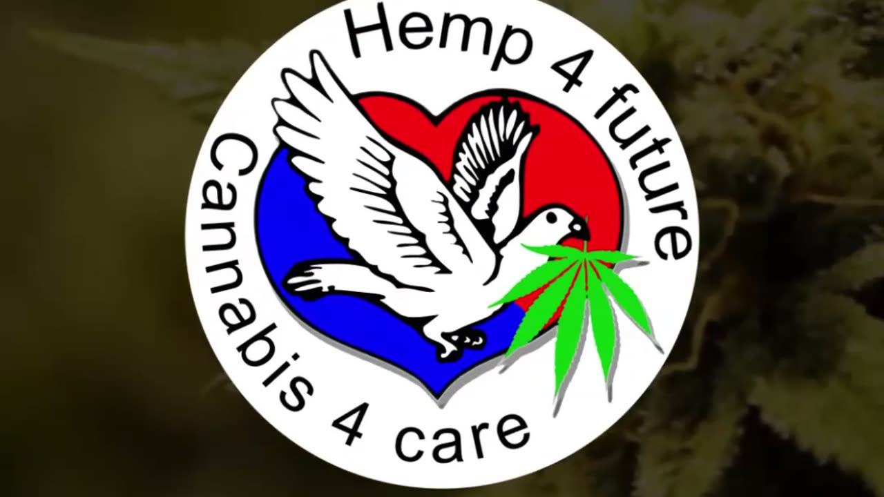 ADHD: wietolie werkt prima