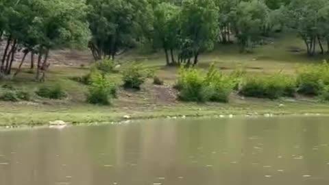 تالاب زیبای ازگن در شهرستان دورود