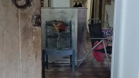 Sssunfl9wer smiles project worker delivering food