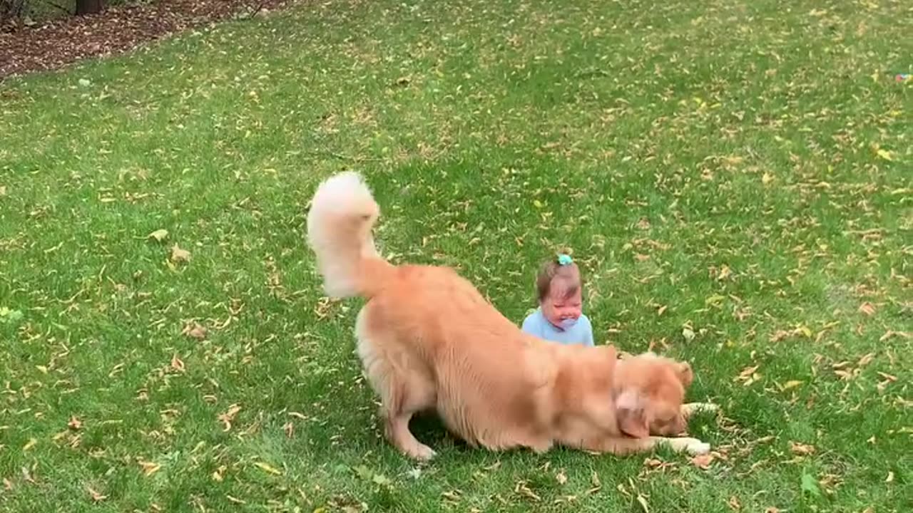 😂❤️