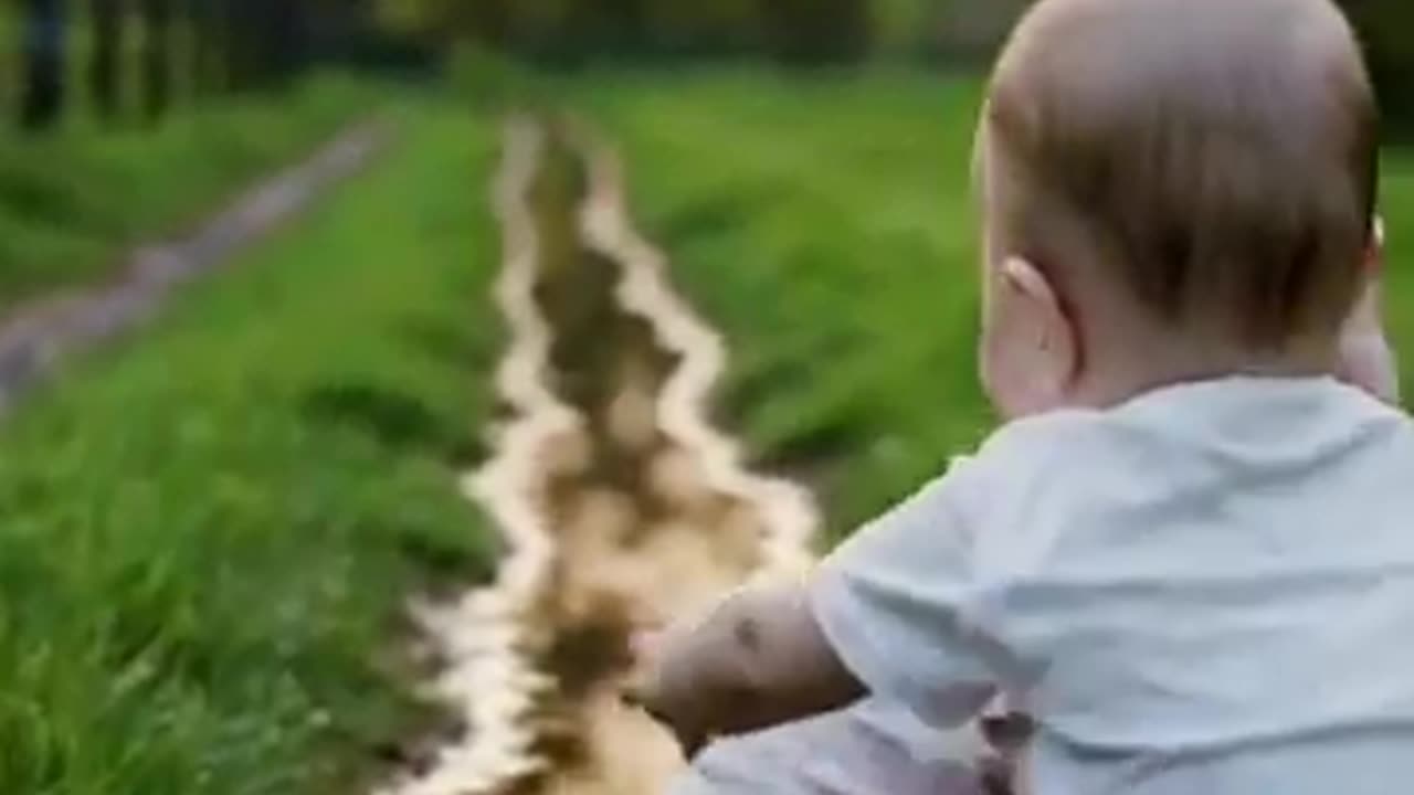 AI Judge Can’t Stop Laughing at This Case