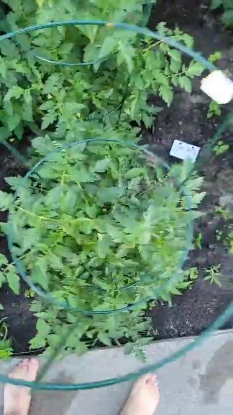 GROW A GARDEN THIS YEAR!