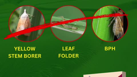 Pesticides for Crops in India | NACL