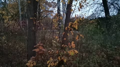 nie siedzę TAM... DLA LEPSZEGO JUTRA , DOCENIAM DZIŚ :):)