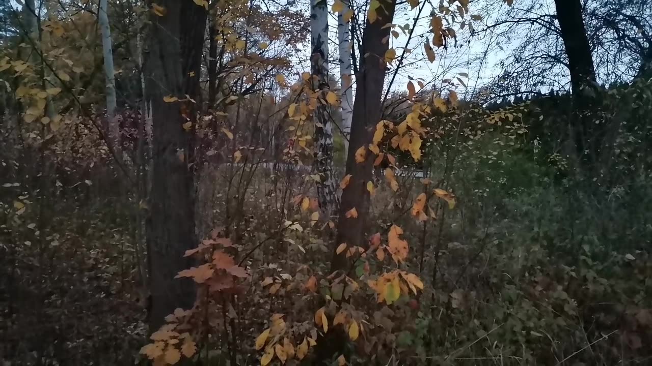 nie siedzę TAM... DLA LEPSZEGO JUTRA , DOCENIAM DZIŚ :):)