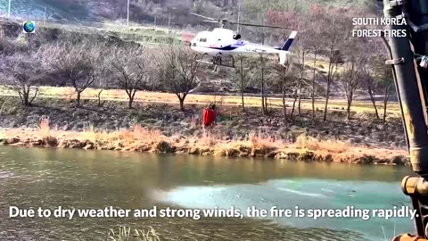 Presque comme à Los Angeles : les incendies de forêt ravagent rapidement la Corée du Sud