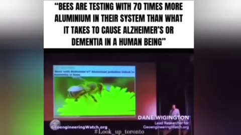 Geoengineering - What's it doing to the Bees？