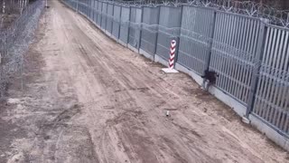 Polish soldiers show us how to defend European borders from Islamic invaders.