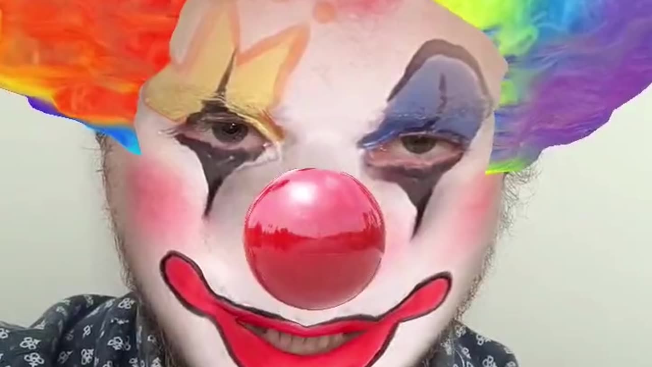 Dr McHonk Anna is lucky