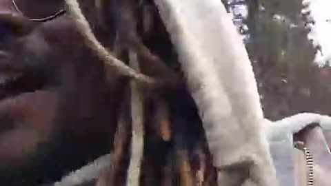 lets talk about it ft fang uchiha