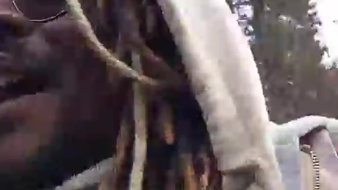 lets talk about it ft fang uchiha