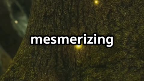 ✨🔥 The Secret Language of Fireflies – Nature’s Glow Code! 🌌🪲