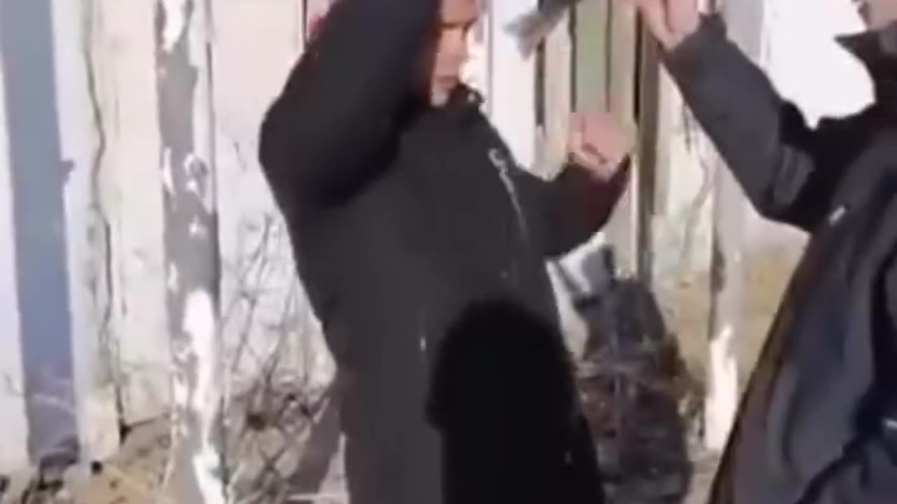 funnyvideosdaily