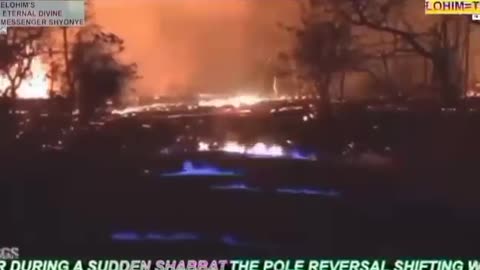 The Great Wine Press of YAHUWAH EL ELYON ⌛🚨