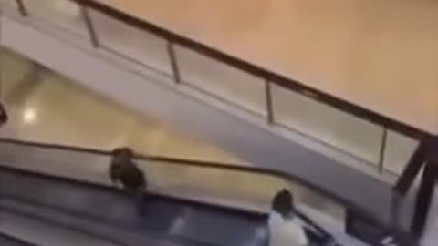 5 People Stabbed to Death in Australian Mall - Bondi