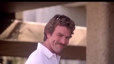Politics - 2025 Humor Race How White Folks Look At Each Other When Melanated Type Act Up