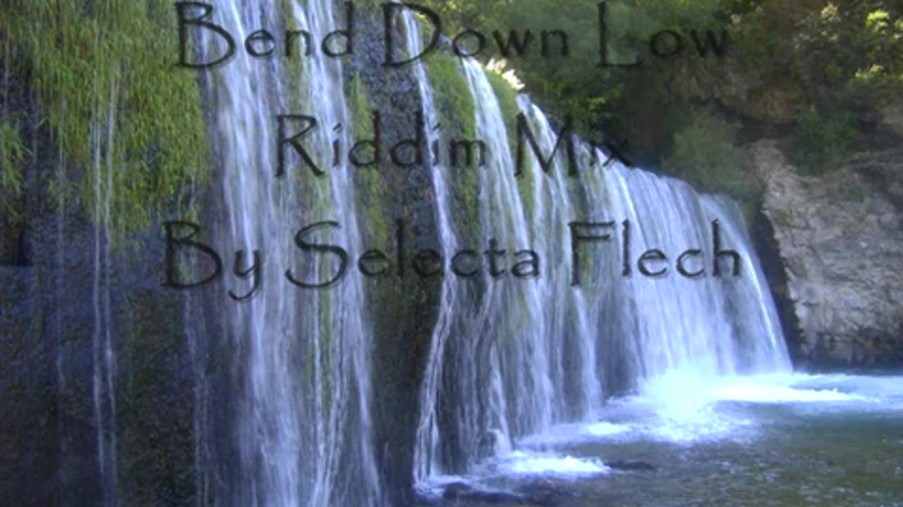 Bend Down Low riddim Mix by Selecta Flech.wmv