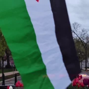 STOP the Israel-USA HOLOCAUST against Indigenous Palestinians.