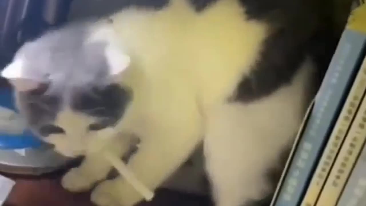 🚭👀 Time for a Smoke? Got a Light?!? | FunFM