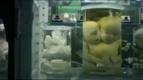 Transhumanism, Mixing Human Animal DNA & Designer Babies