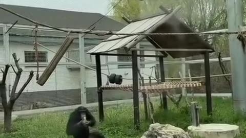 Awesome entertainer 😝