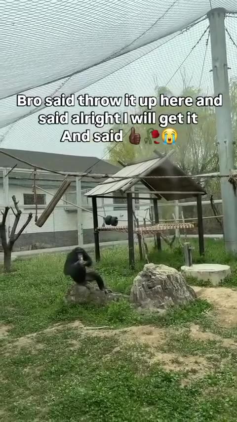 Awesome entertainer 😝