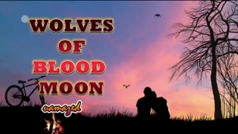 WBM00Nep-----283-84.mp4