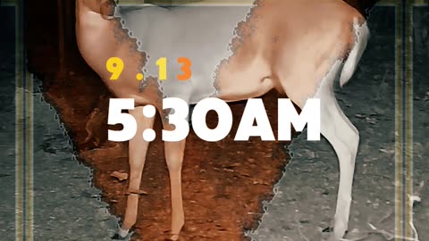 Countdown to Sept 13 - Tuesday