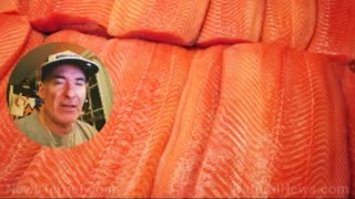 THE VIRUS LIE, SATANIC TEMPLE ABORTION CLINIC, WILD TYPE SALMON, LIBTARDS PUSH FOR CIVIL WAR & MO'!