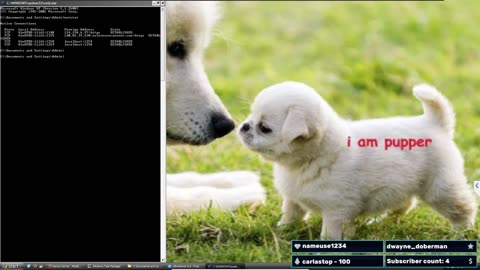 Scammer VS Windows XP in 2025! LIVE!