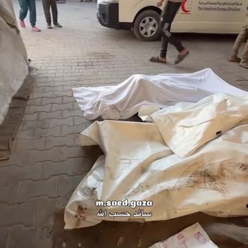 The morning scene after a bloody night filled with massacres