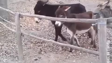 🤣 We All Have That One Friend: The Most Hilarious Moment Ever! | FunFM