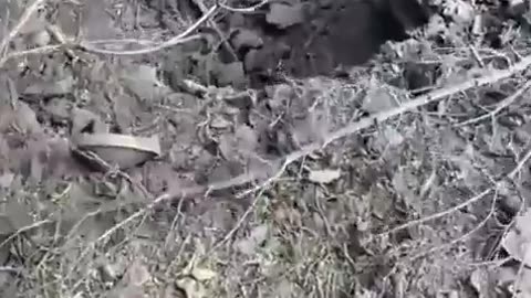 🚚💥 Ukraine Russia War | Destroyed Ukrainian Truck in Combat Zone | RCF