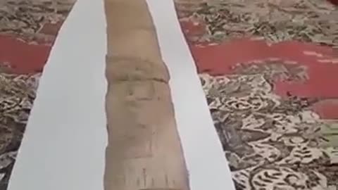 the synagogue of satans talmud scroll