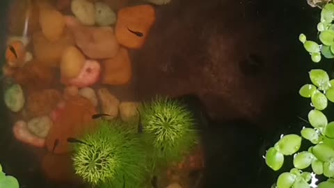 😀