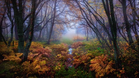 "You must do the things you think you cannot do."