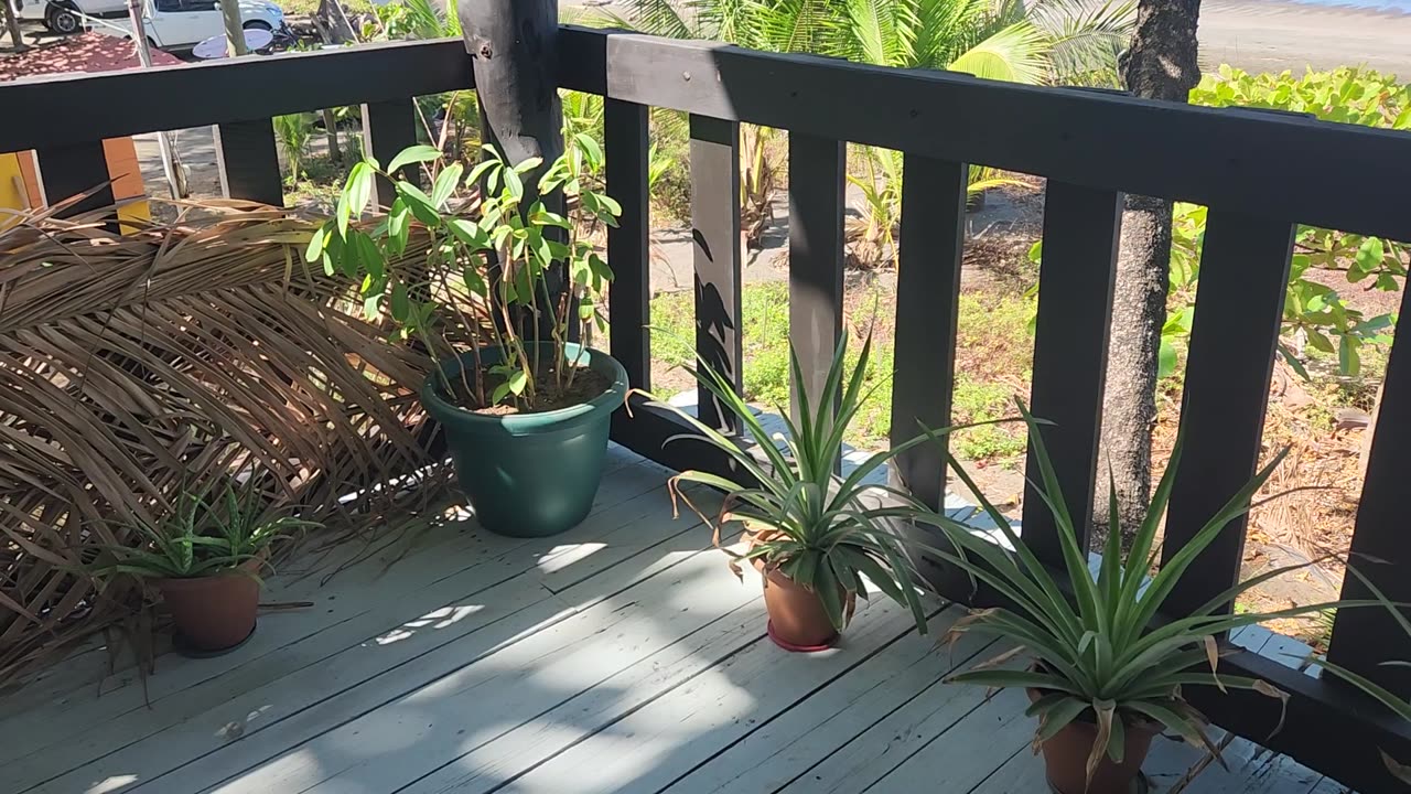 4/8/25. Our planting